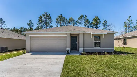 New construction Single-Family house Zephyrhills, FL 33540 - photo 0