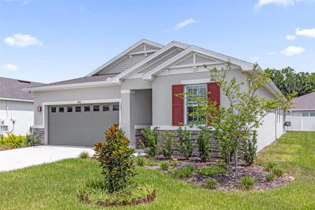 New construction Single-Family house 3998 Bannock Ave, Tavares, FL 32778 plan Ruby - image