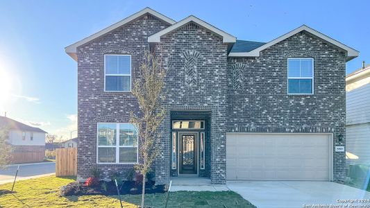 New construction Single-Family house 29509 Sierra Copper, Bulverde, TX 78163 The Spicewood- photo 0