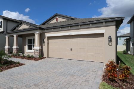 New construction Single-Family house 33227 Amling Pecan Br, Wesley Chapel, FL 33545 Newport II- photo 79 79