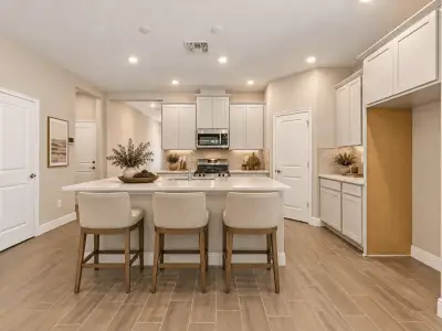 New construction Single-Family house 4200 Summit View Dr, Brooksville, FL 34601 plan Solana - image 13