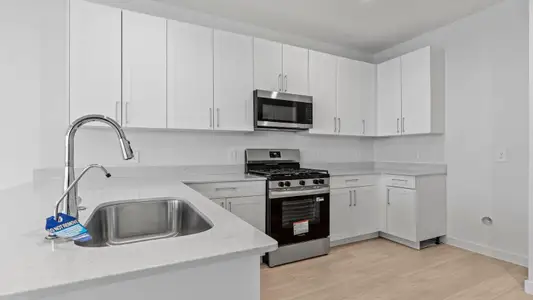 New construction Single-Family house 1738 Revolution Wy, Missouri City, TX 77459 plan Honeysuckle - image 12