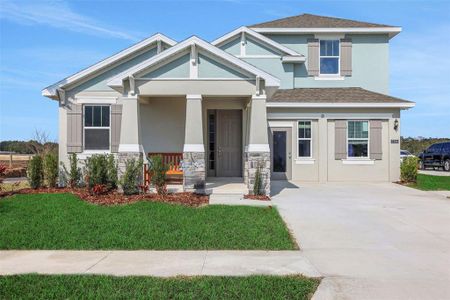 New construction Single-Family house 17320 Wild Daisy Dr, Winter Garden, FL 34787 - image