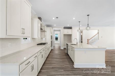 New construction Single-Family house 113 Macland Ln, Unit 538, Rock Hill, SC 29730 - image 10