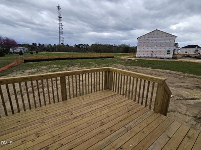 New construction Single-Family house 65 Alice Trace Pl, Unit 2, Angier, NC 27501 - image