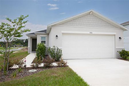 New construction Single-Family house 9791 Ne Carson Wy, Leesburg, FL 34788 - image