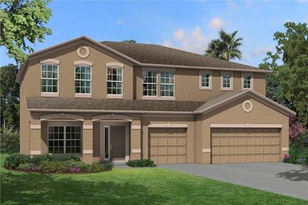 New construction Single-Family house 4969 Eagle Rock Dr, Wimauma, FL 33598 null- photo 3 3