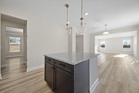 New construction Single-Family house 119 Ashley Cove Way, Summerville, SC 29483 Brevard- photo 6 6