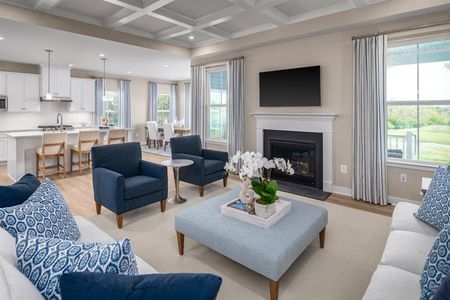 New construction Single-Family house 1010 Lacebark Dr, Ridgeville, SC 29472 plan Cumberland - image 12