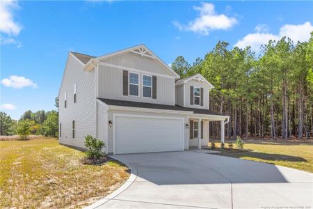 New construction Single-Family house 4842 Blue Springs Rd, Red Springs, NC 28377 - image