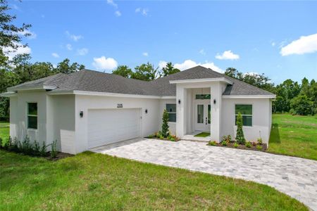 New construction Single-Family house 2105 Dorman Rock Pl, Plant City, FL 33565 - image