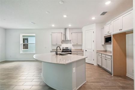 New construction Single-Family house 19649 Fort King Run, Brooksville, FL 34601 plan Elmwood - image 16