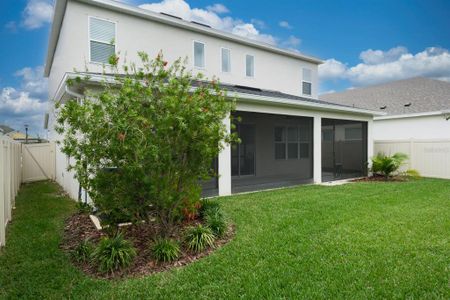 New construction Single-Family house 2612 Leafwing Ct, Palm Harbor, FL 34683 null- photo 72 72