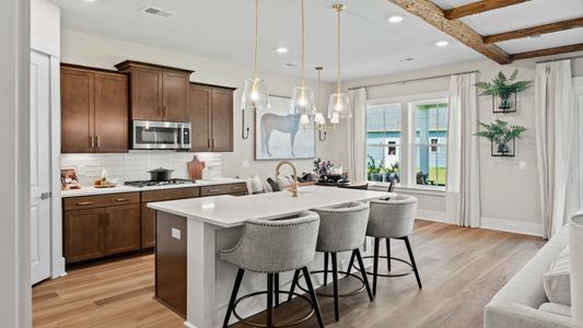 New construction Single-Family house 208 Lazy Day Ln, Summerville, SC 29486 plan Traveler - image 9