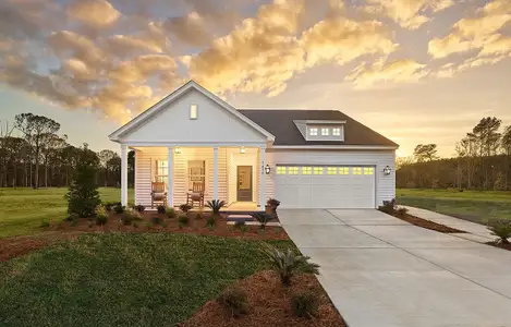 New construction Single-Family house 4203 Hollow Wind Wy, Summerville, SC 29485 plan Truman - image