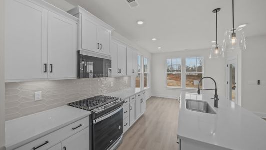 New construction Single-Family house 810 Pleasant Falls Dr, Moore, SC 29369 plan Beramont - image 11