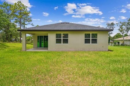 New construction Single-Family house 11347 Striped Bass Ct, New Port Richey, FL 34654 plan Pompei - image 4