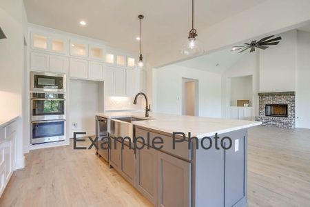 New construction Single-Family house 561 Royal Santana Run, Weatherford, TX 76087 plan The San Antonio - image 10