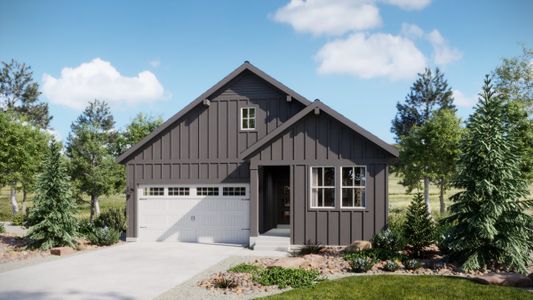 New construction Single-Family house 16023 Wingrider Pt, Parker, CO 80134 plan Trailside - Single Family Homes - image