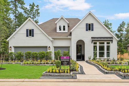 The Meadows at Imperial Oaks by David Weekley Homes in Conroe - photo 10 10