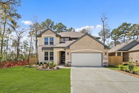 New construction Single-Family house 209 Bronzewood Terrace Ct, Willis, TX 77318 plan WHITNEY - image