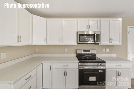 New construction Single-Family house 87 Coon Creek Rd, Pageland, SC 29728 - image 6