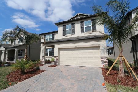 New construction Single-Family house 4877 Foxglove Cir, Lakeland, FL 33811 Alenza- photo 142 142