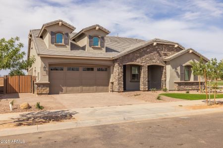 New construction Single-Family house 23036 E Oriole Wy, Queen Creek, AZ 85142 - image