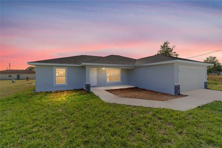 New construction Single-Family house 10135 Sw 130Th Ter, Dunnellon, FL 34432 - image