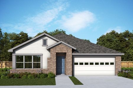 The Colony 50' - Coleton Meadow by David Weekley Homes in Bastrop - photo 17 17