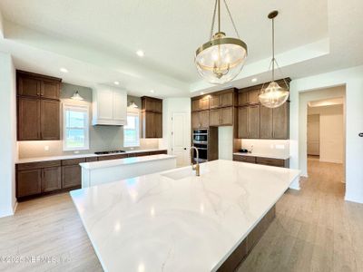 New construction Single-Family house 269 Pasarela Dr, Saint Augustine, FL 32095 null- photo 14 14