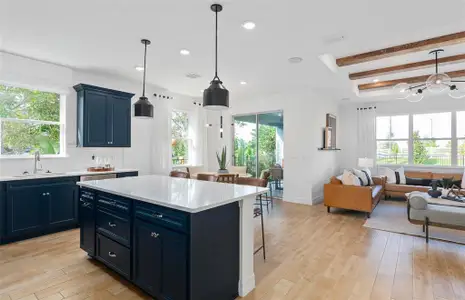 New construction Single-Family house 2609 Clear Night Ave, Kissimmee, FL 34744 plan Highgate - image