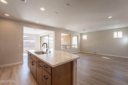 New construction Single-Family house 375 E Bracciano Ave, Queen Creek, AZ 85140 null- photo 3 3