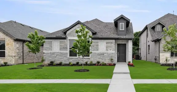New construction Single-Family house 2858 Buttermilk Dr, Midlothian, TX 76065 plan Sonata - image