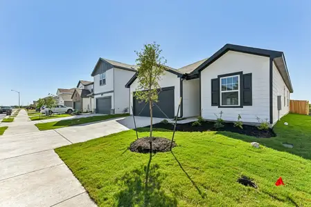 Castlewood South by Starlight Homes in Taylor - image