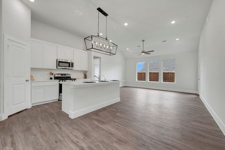New construction Single-Family house 8104 Prairie Park Blvd, Denton, TX 76207 plan Iris - image 4