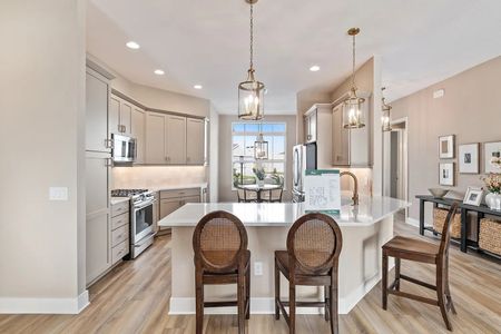 New construction Single-Family house 1120 Main St, The Villages, FL 32159 null- photo 17 17