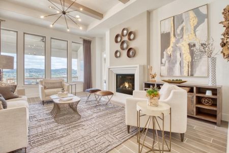 Kinder Ranch 70's by Drees Custom Homes in San Antonio - image 8