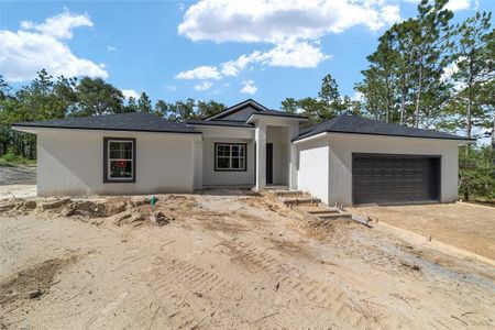 New construction Single-Family house 13359 Sw 80Th St, Dunnellon, FL 34432 null- photo 1 1