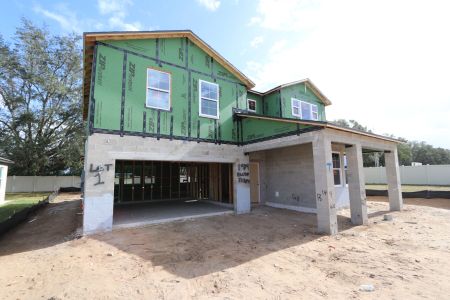 New construction Single-Family house 11984 Hilltop Farms Dr, Dade City, FL 33525 Casanova- photo 33 33