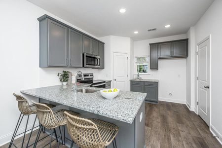 New construction Townhouse house 401 Gravy Train St, Charleston, SC 29414 - image 19