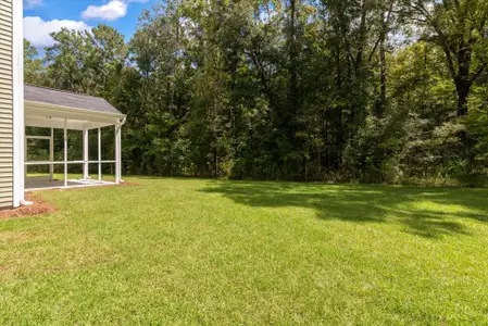 New construction Single-Family house 379 Blue Oak Dr, Moncks Corner, SC 29461 plan Drexel - image 19
