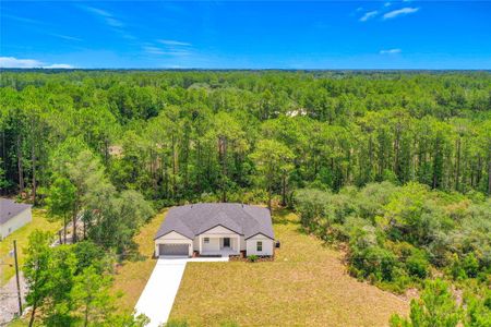 New construction Single-Family house 41334 Persimmon St, Eustis, FL 32736 - image