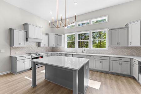 New construction Single-Family house 1242 Waymanville Rd, Thomaston, GA 30286 plan Summer Hill - image 5