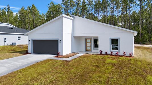 New construction Single-Family house 7877 Sw 138Th Street Rd, Ocala, FL 34473 null- photo 2 2