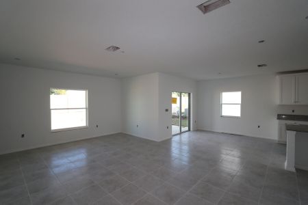 New construction Single-Family house 12176 Hilltop Farms Dr, Dade City, FL 33525 Malibu- photo 119 119