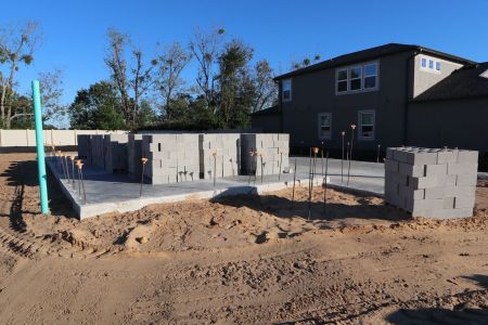 New construction Single-Family house 12134 Hilltop Farms Dr, Dade City, FL 33525 Malibu- photo 5 5