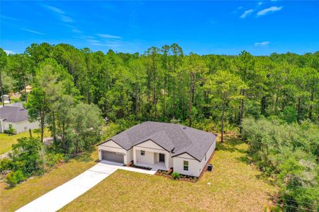 New construction Single-Family house 41334 Persimmon St, Eustis, FL 32736 - image
