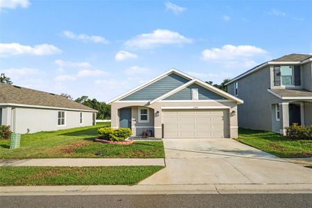 New construction Single-Family house 13530 Mount Ivy Ct, Dade City, FL 33525 - image