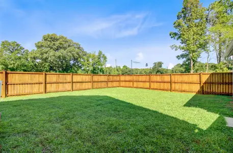 New construction Single-Family house 254 Red Bluff St, Summerville, SC 29483 plan Pinckney - image